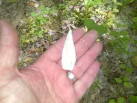 IMG-20140511-01808.webp