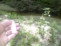 IMG-20140511-01810.webp
