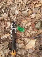Green.webp
