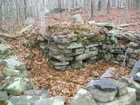 115_4761.webp