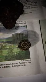 1459781_10152029217215732_1968518848_n.webp