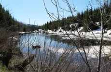 May11 Pond.webp