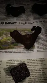 10151219_10152029216460732_2083865482_n.webp
