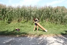 ERG10Lg.webp