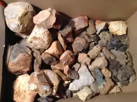 image.webp