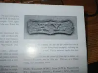 S2010112.webp