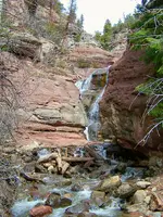 pitkin 4.webp