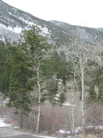 Folder # 3 011.webp