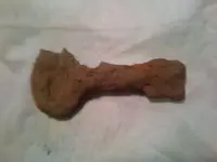 .03.webp