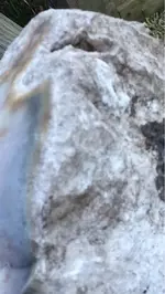 image-3140504700.webp
