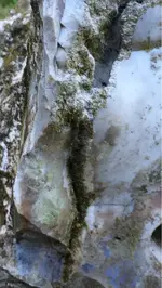 image-3028232381.webp