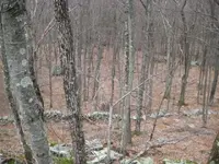 end apr hunt ct 013.webp