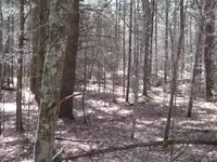 new pics 037.webp