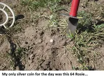 May 10th Finds 001.webp