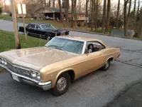 Impala.webp Impala.webp