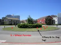 May 10th Finds 009.webp