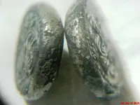 DSC00253.webp