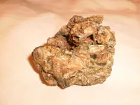 P2102026.webp