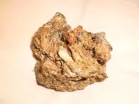 P2102028.webp