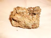 P2102030.webp