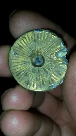 token 002.webp