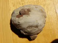 RSCN7670.webp
