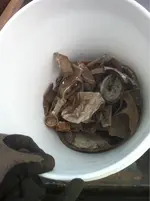 image-1843639083.webp
