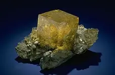 specimen4153_1.webp