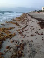 image-1865078080.webp