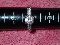 P4220003.webp