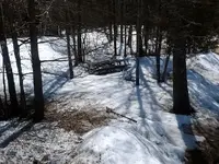 ForumRunner_20140407_124239.webp