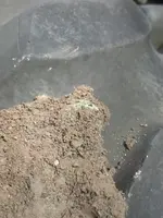 G.Dirt Shot2.webp