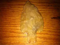 image-1194834193.webp