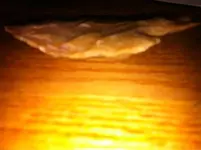 image-4093046211.webp