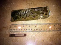 wedge_uco.webp