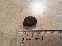 metorite_resizedIMG_3140.webp