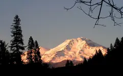 Shasta Sunset at Ballpark.webp