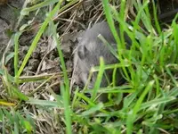 DSCN2269.webp