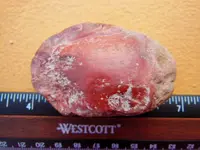 DSCN8793.webp