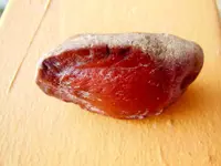 DSCN8786.webp