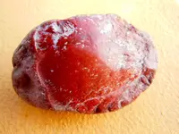 DSCN8784.webp