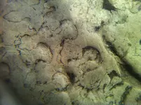 photo 7.webp