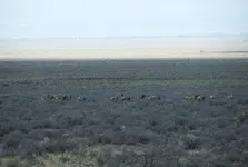 san luis 2.webp