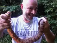 Water Snake.webp