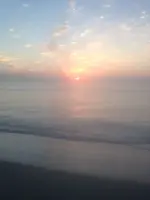 image-2735102455.webp