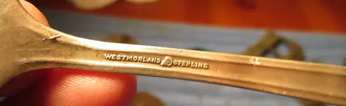 18 TW 051014 Slvr Fork mark.webp
