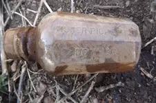 DSCF6641.webp