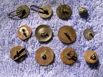 Cuffs1backs.jpg.webp