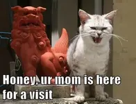 stepmom.webp