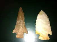 image-3410534476.webp